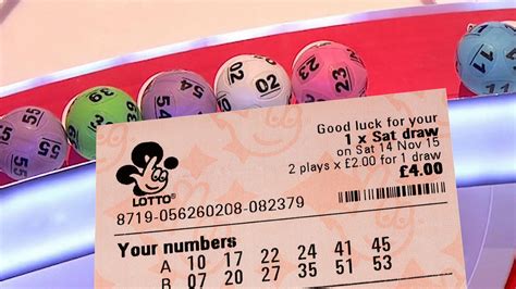 how to play daily lotto online